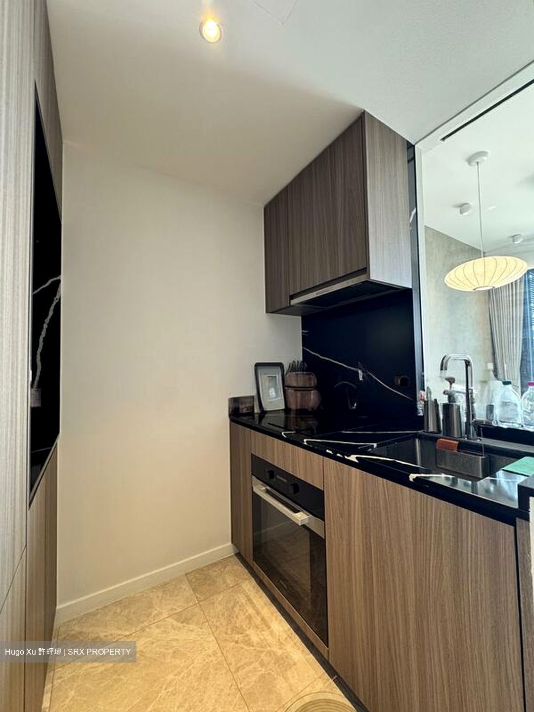 Irwell Hill Residences (D9), Apartment #566296671